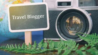 Professional Travel Blogger