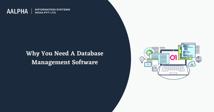 Database Management Software