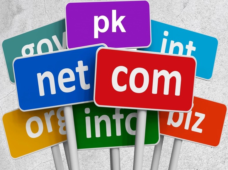 pk domain registration