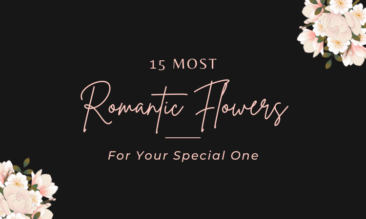 Most Romantic Flowers