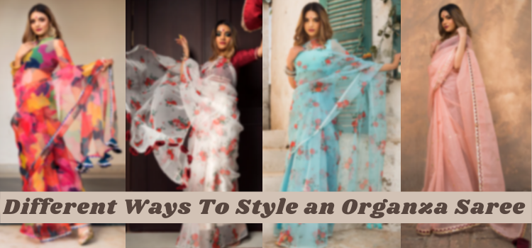 Different Ways To Style an Organza Saree