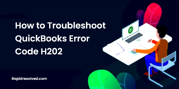 QUickBooks error code h202