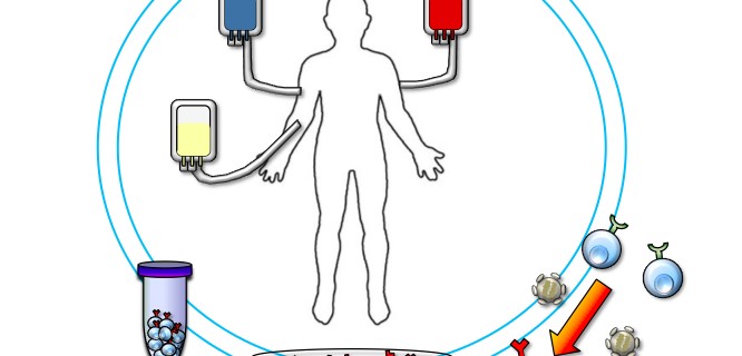 T-cell Therapy Market