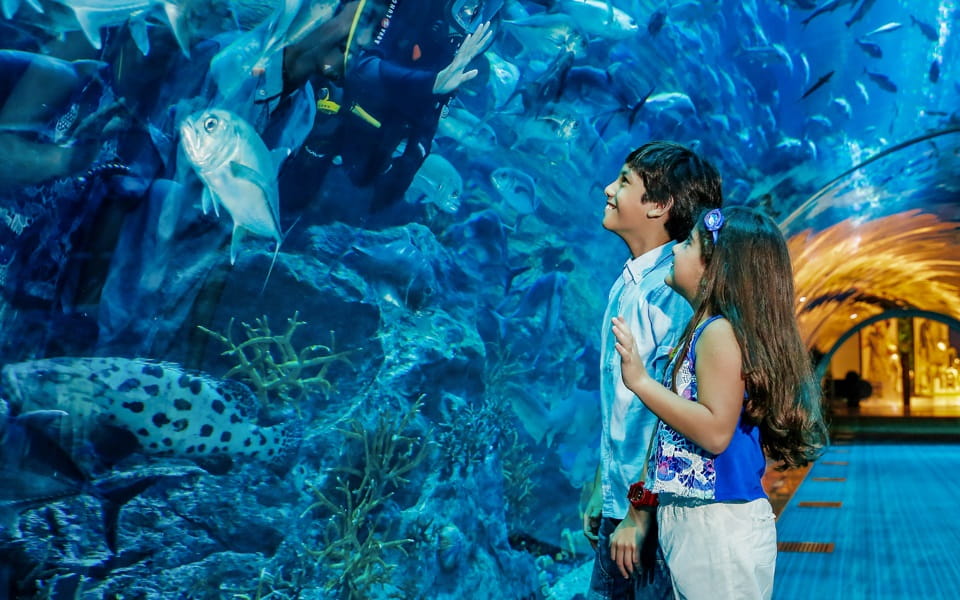 Top 7 Reasons to Gift Dubai Aquarium Annual Pass to Kids