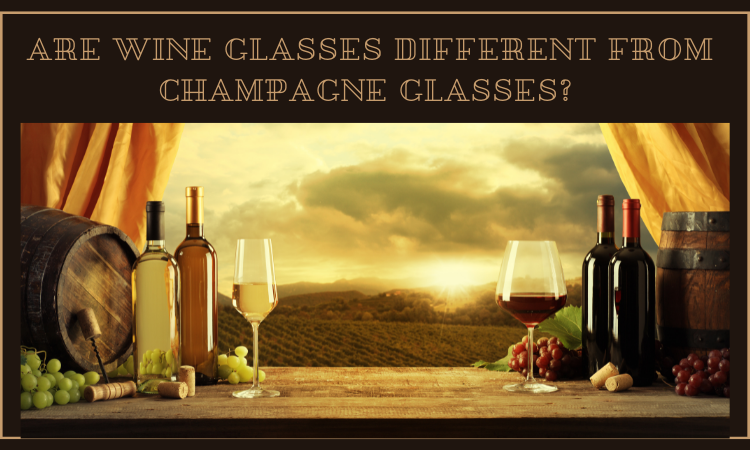 Are Wine Glasses Different From Champagne Glasses?