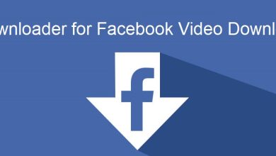 Beginners' Guide on Facebook Video Downloader Online