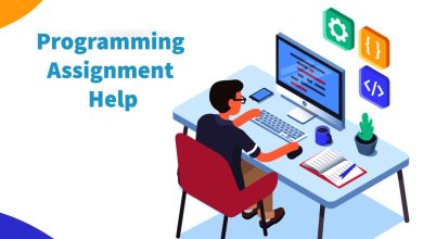 Professional Programming Assignment Help Services Providers in UK