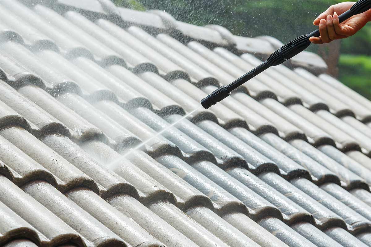 roof cleaning