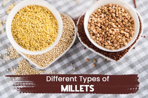 What are the popular Millets